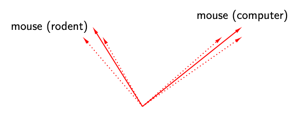 Contextual Embeddings